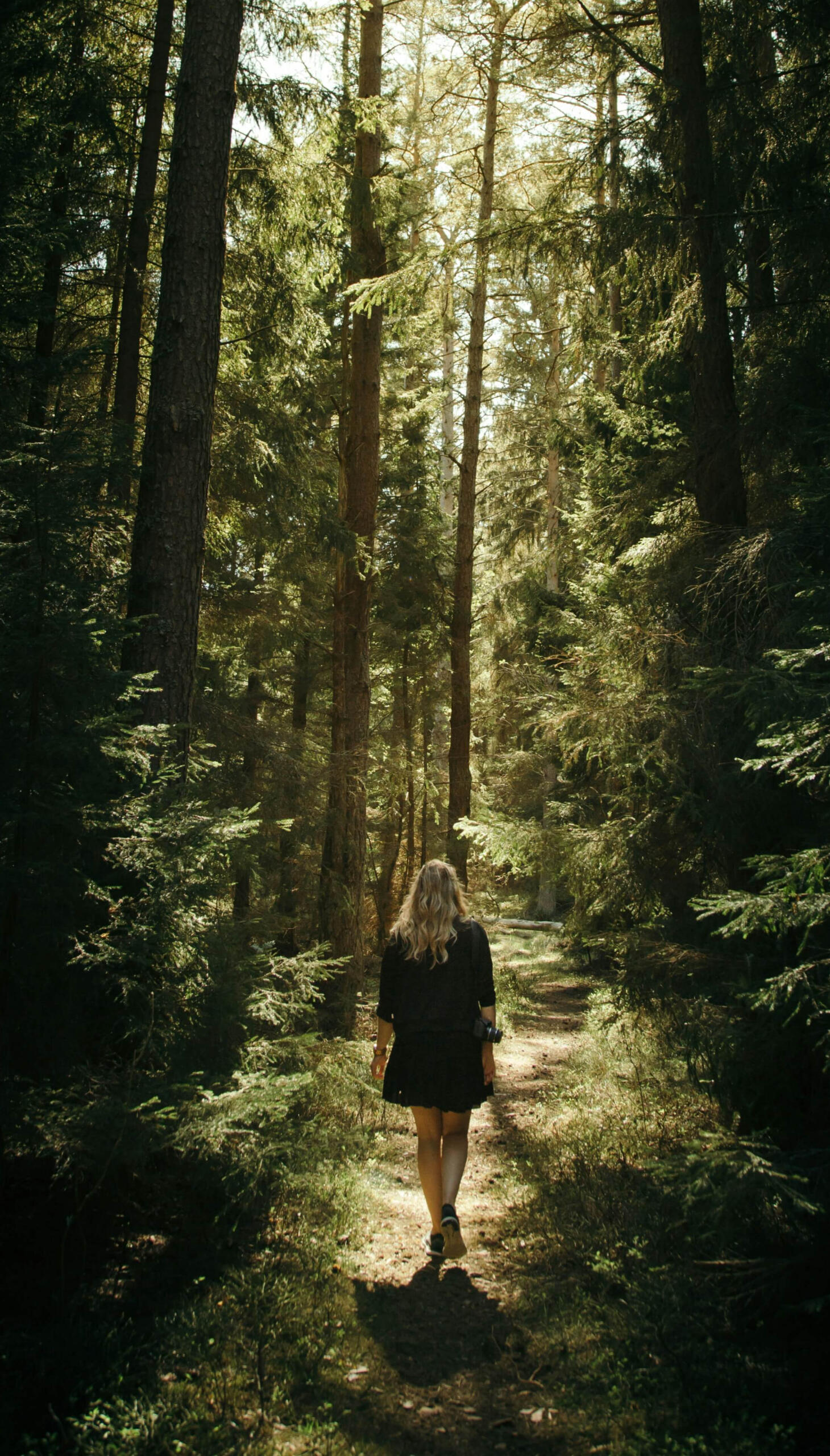 Grounding and safety This is a photo of a woman walking a path in the woods